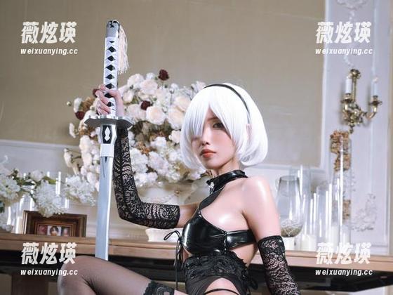 eliza喵喵的高清冒险：2B忍者回馈，快来选你最爱的图片吧！
